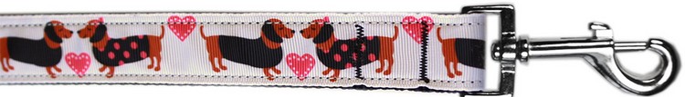 Pink Doxie Love Nylon Pet Leash 3/8in by 4ft